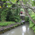 20100414 Bali-MonkeyForrest-Tannah Lot  1 of 106 